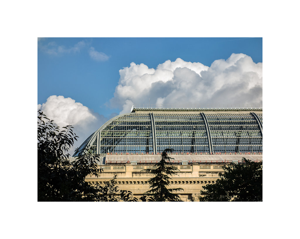 Grand-Palais-2014-155.jpg