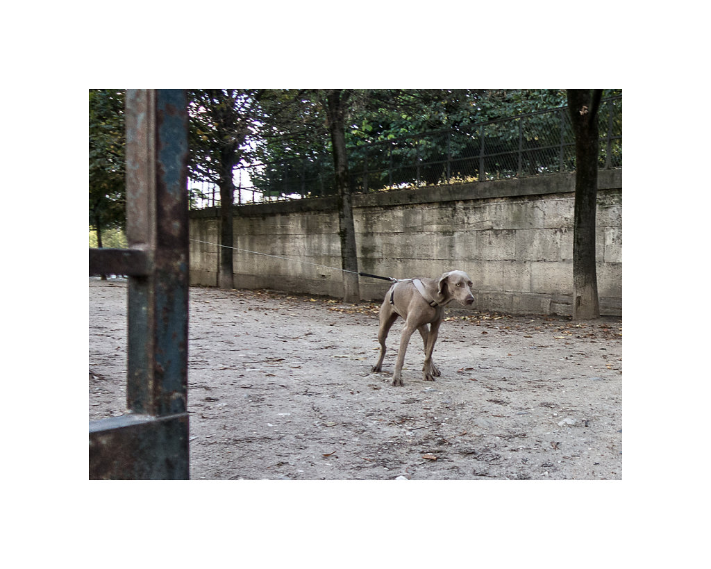 Tuilerie-2014-403.jpg