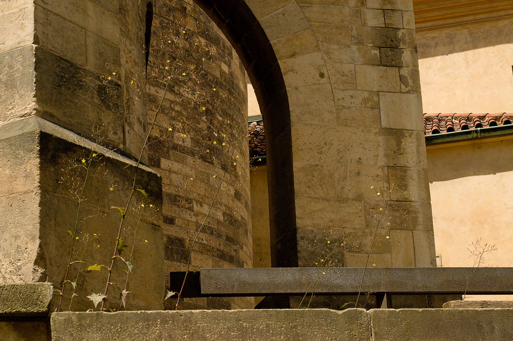 Prague-castle533.jpg