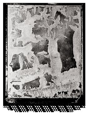 film Polaroid, chemical reaction null