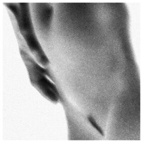 detail Anne Kenary 2015-781 null