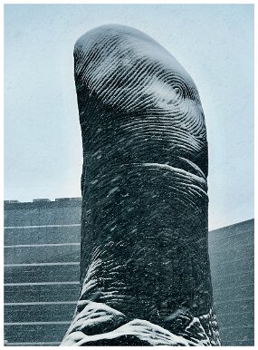 La Defense neige-707 null